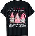 Gnome I Am Sweet Lovable Kind Shy and Innocent T-Shirt