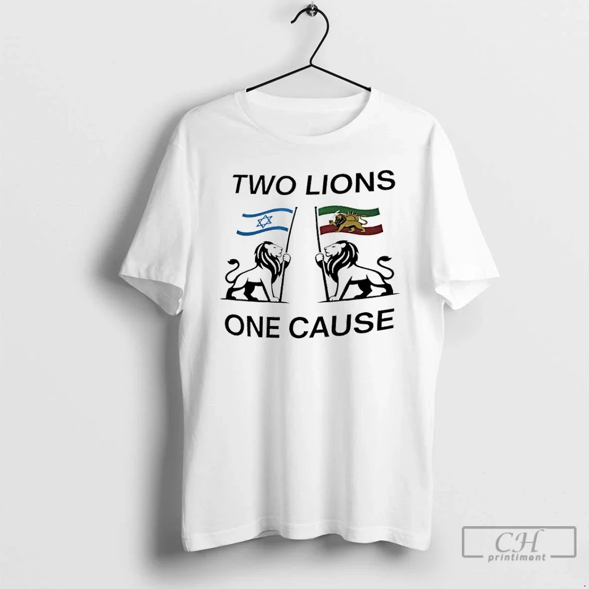 Classic Two Lions One Cause Israel Iran Flag Unisex