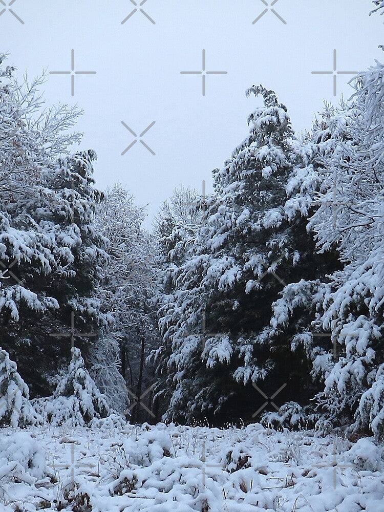 Hidden Blue Winter Wonderland by Lovemountain
