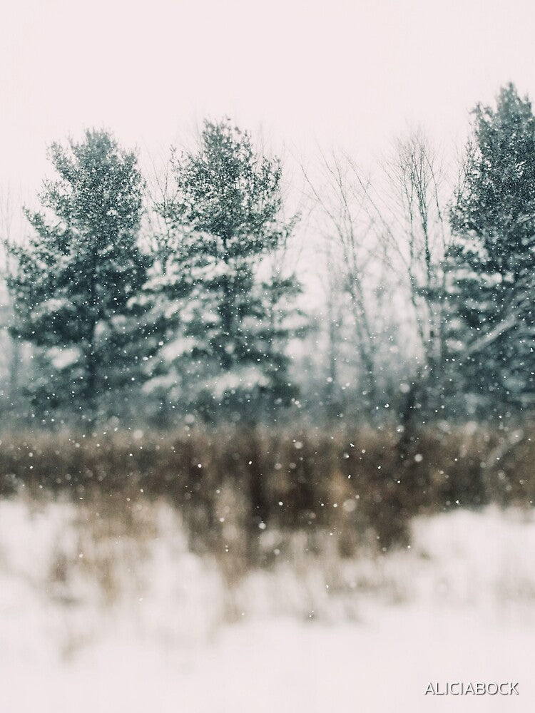 Wonderland #1 by ALICIA BOCK