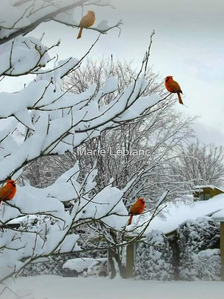 WINTER WONDERLAND by Marie Leblanc