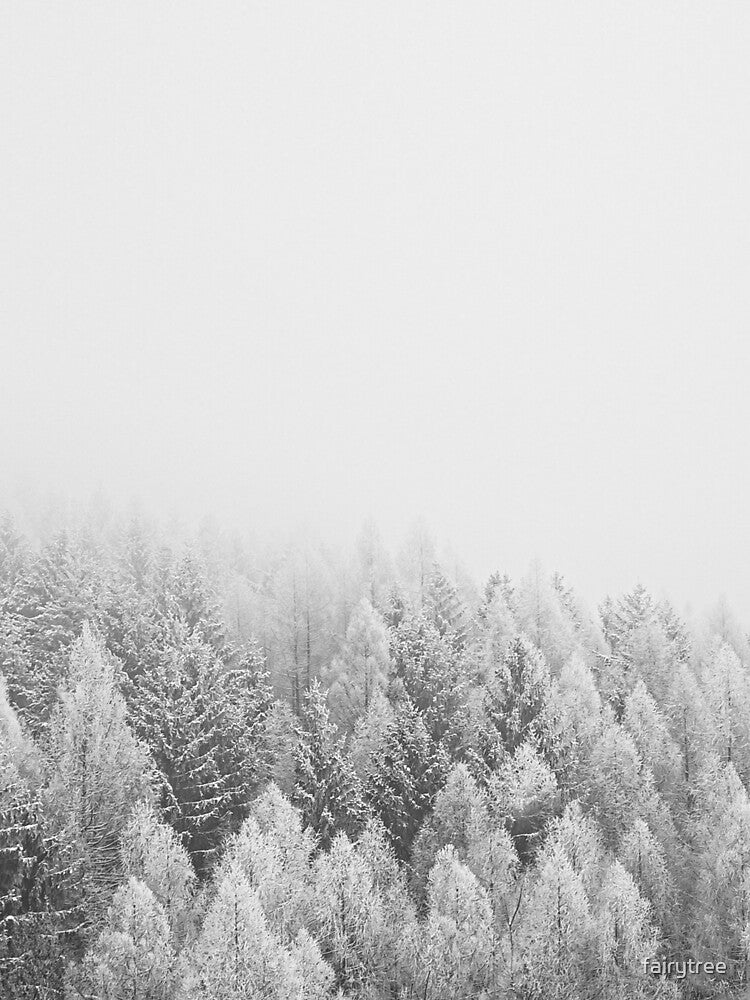 Misty Winter by fairytree