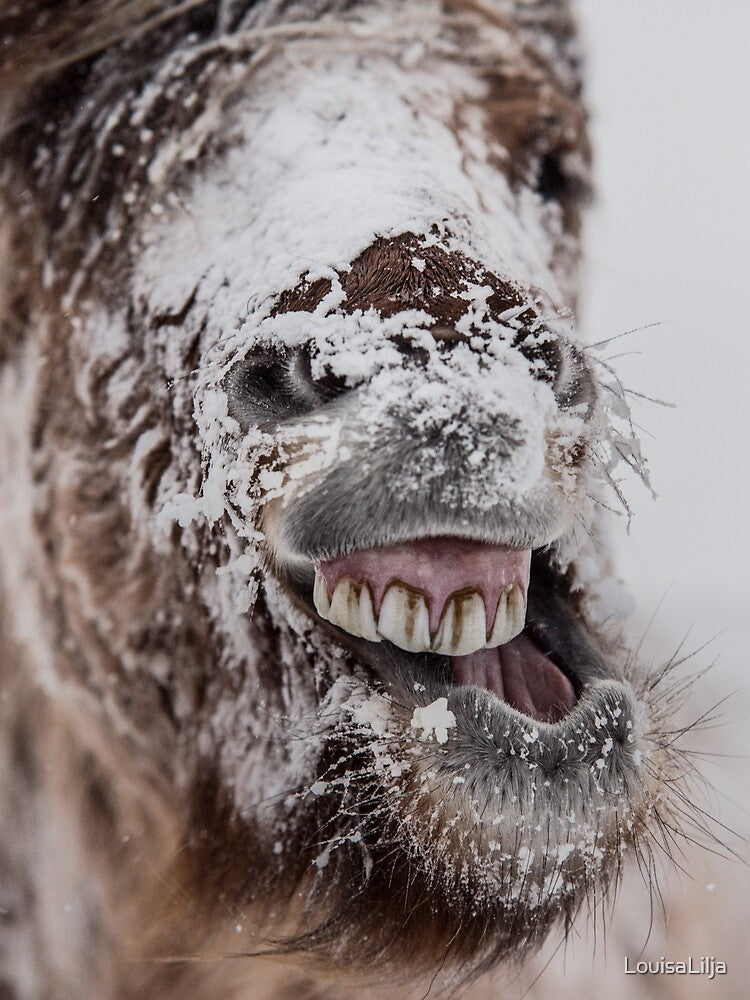 tired of the snow by LouisaLilja