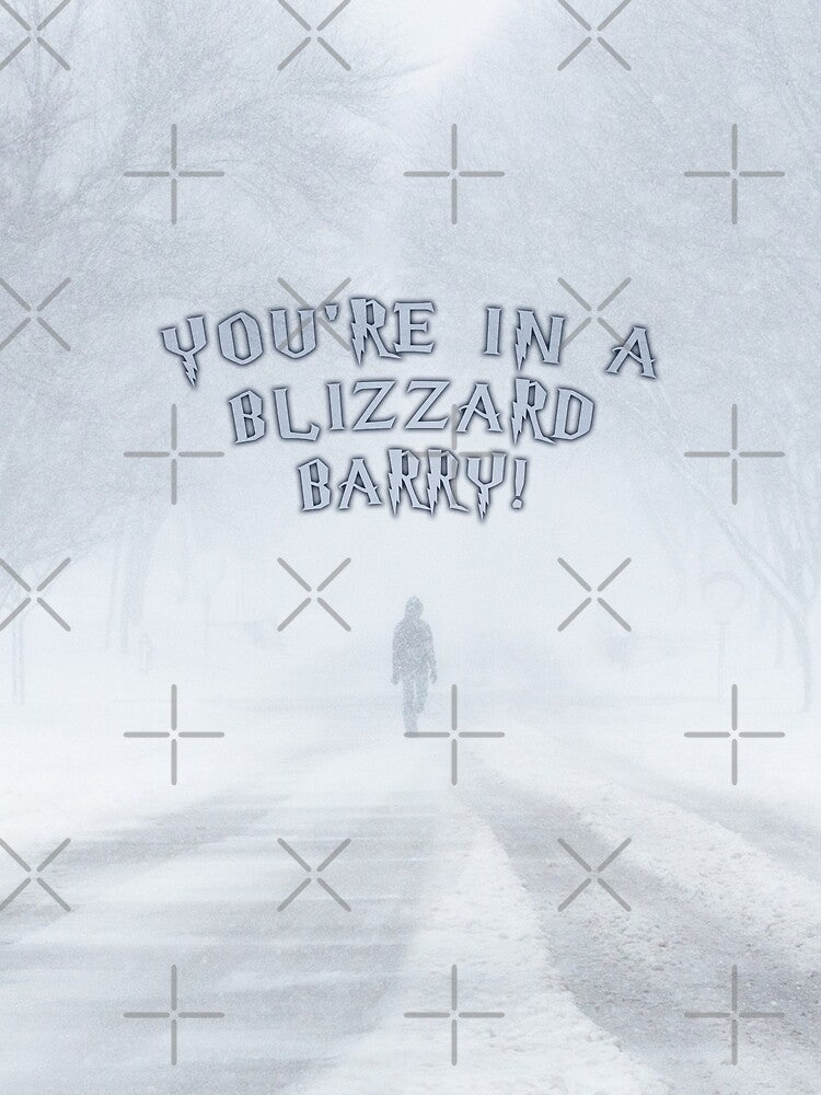 You're In A Blizzard Barry by Fanarchist