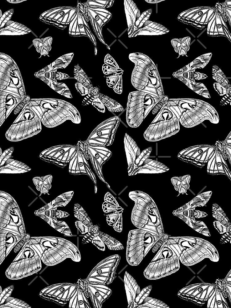 Moth pattern by B-d-t