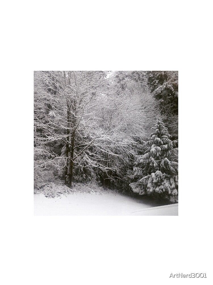 Winter Wonderland by ArtNerd3001