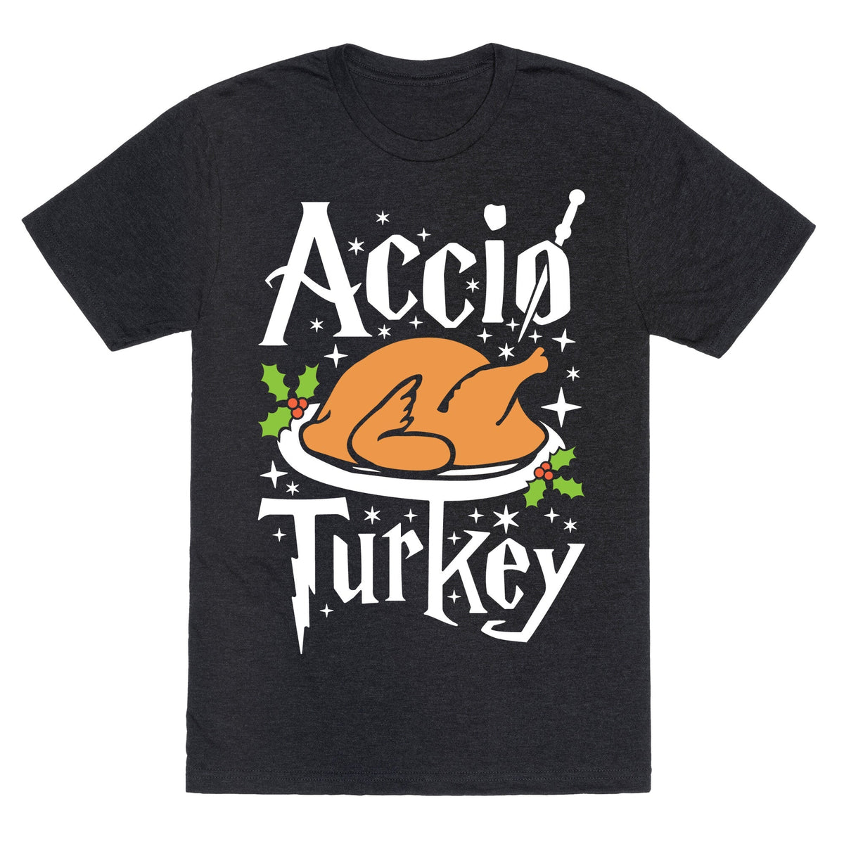 Accio Turkey Unisex Triblend Tee Unisex