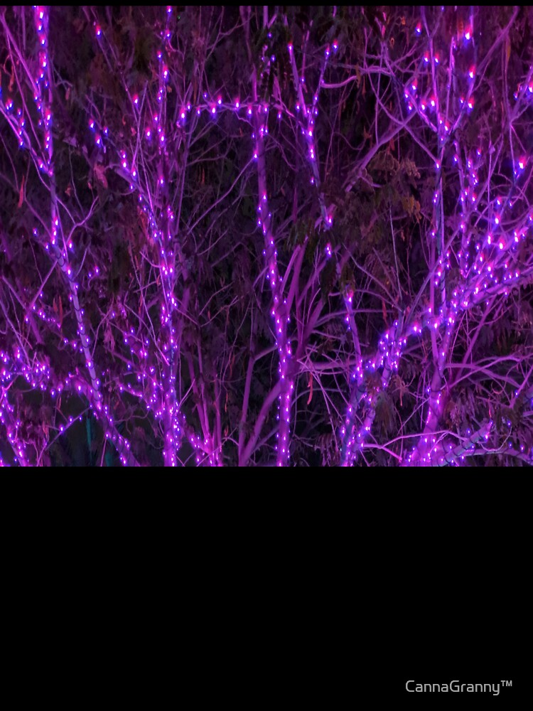 Magical purple  ights by  CannaGranny™