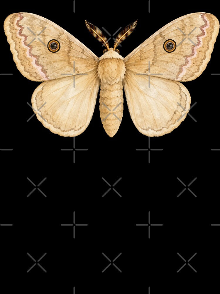 Chinese Tussar Moth Antheraea Pernyi Watercolor Style by Harpagann