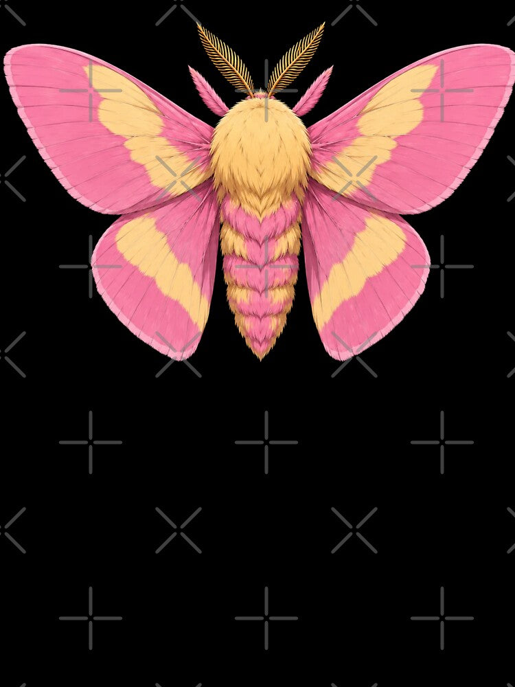 Rosy Maple Moth Dryocampa rubicunda Anime Style by Harpagann