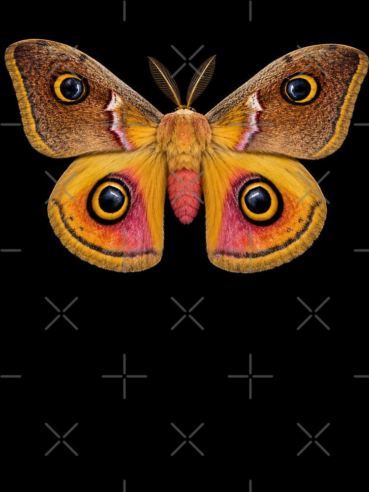 Io Moth Automeris io realistic style by Harpagann