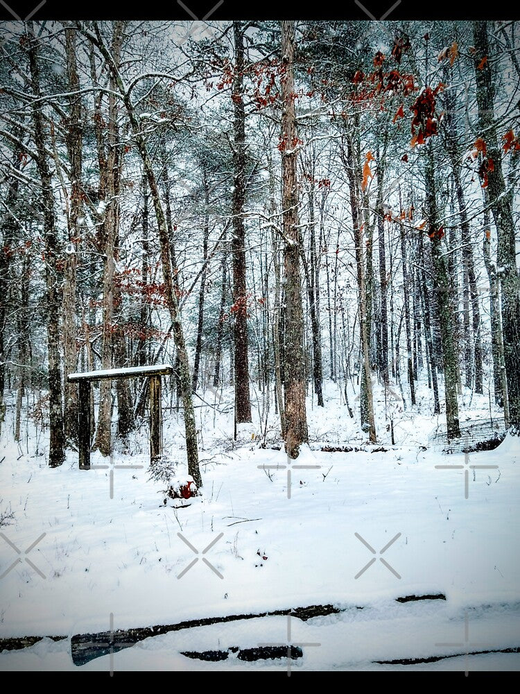 Winter Wonderland by AngelMQ