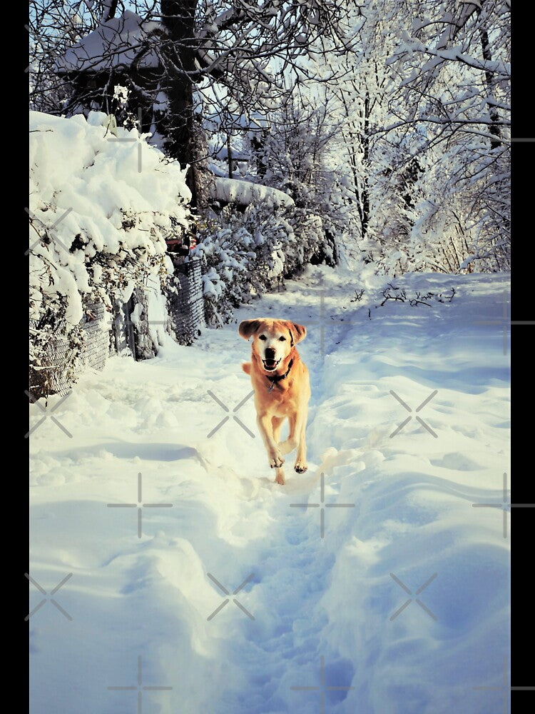 Dog running through wonderland by DeVeauDesign