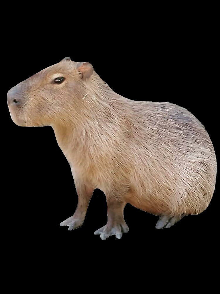 Capybara Art for Men Women Kids , Capybara Gift Lover by DZIRI NAJAT