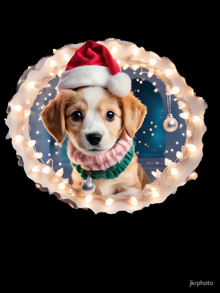 Christmas puppy by jkrphoto
