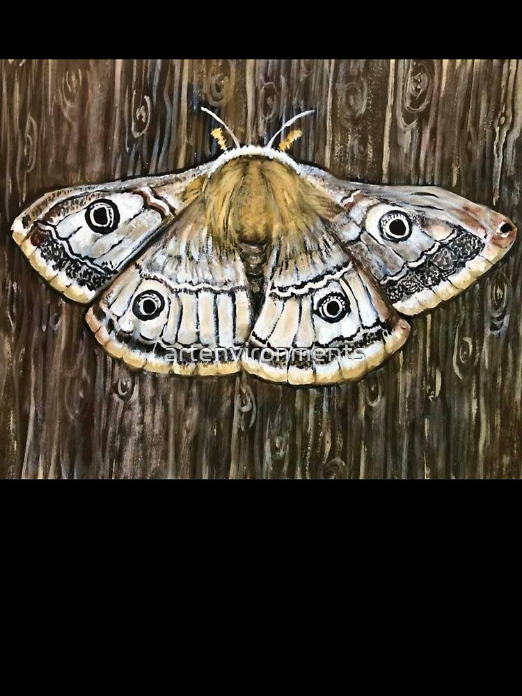 Emporer Moth / Moth on Wood / Wood Moth / Woodgrain / by artenvironments