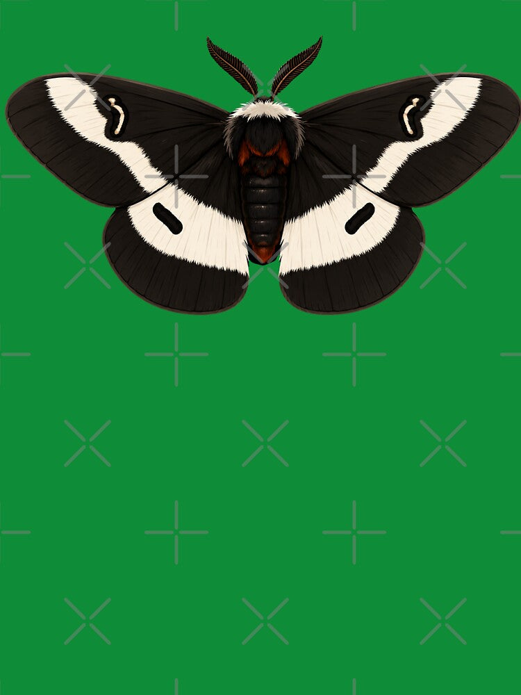 Buck Moth Hemileuca Maia Moth Cartoon Style by Harpagann
