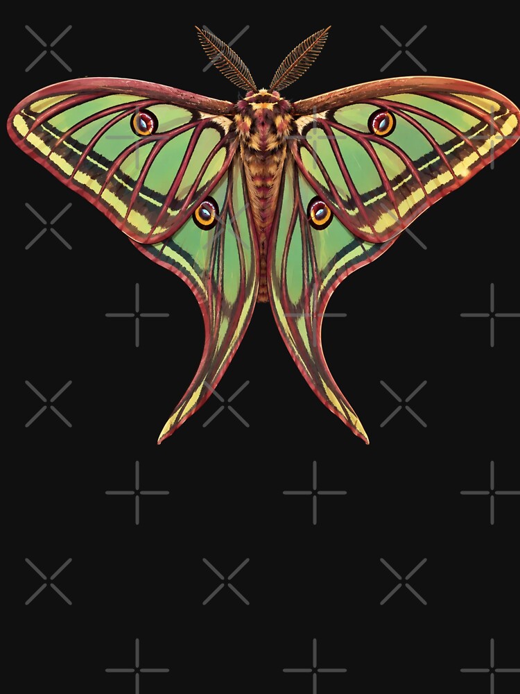 Spanish Moon Moth Graellsia isabellae Cartoon Style by Harpagann