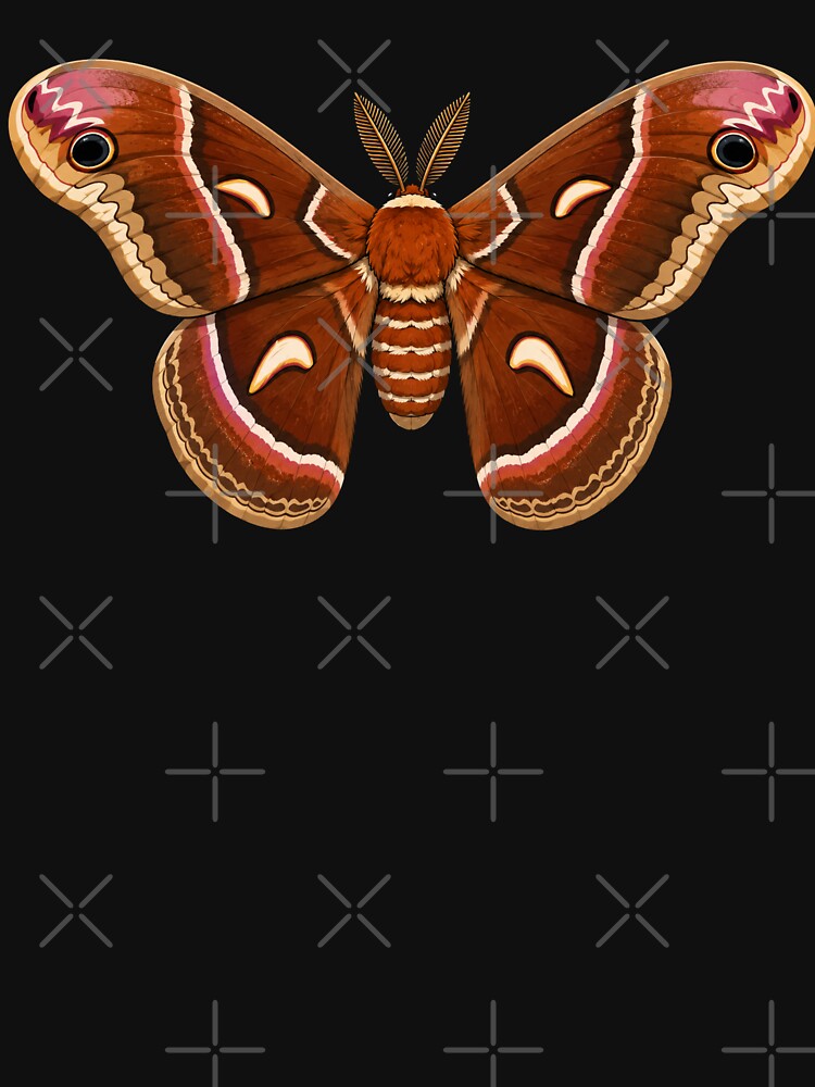Promethea Moth Callosamia promethea Cartoon Style by Harpagann
