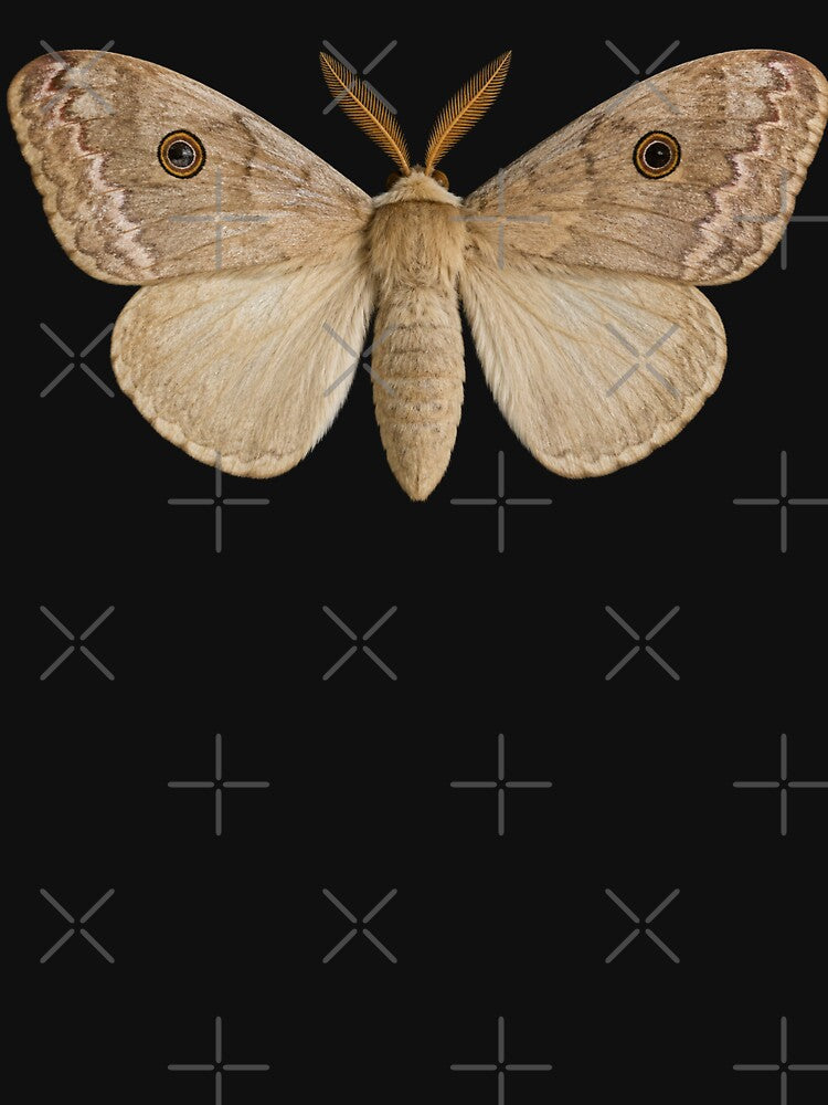 Chinese Tussar Moth Antheraea Pernyi Realistic Style by Harpagann