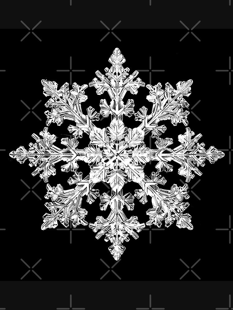 Intricate Crystal Snowflake – Elegant Black and White Winter Design by inkoutninja