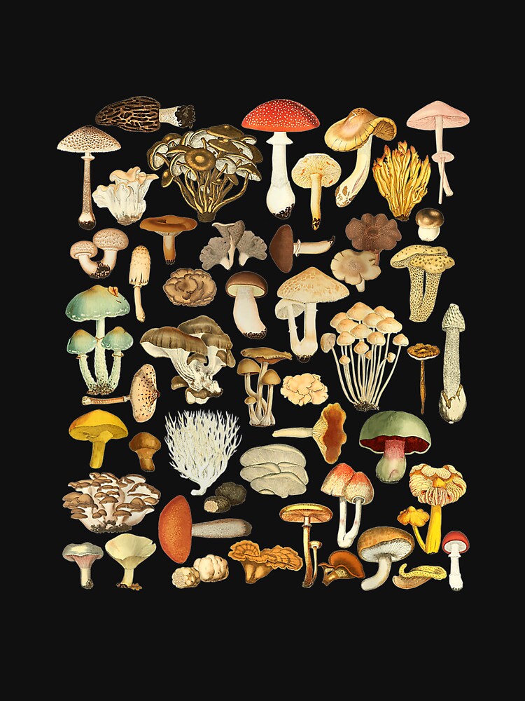 Mushroom Mycology Fungi Foraging Mushroom Whisperer by JasonNathaya
