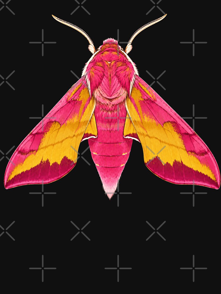 Small Elephant Hawk Moth Deilephila porcellus Realistic Style by Harpagann