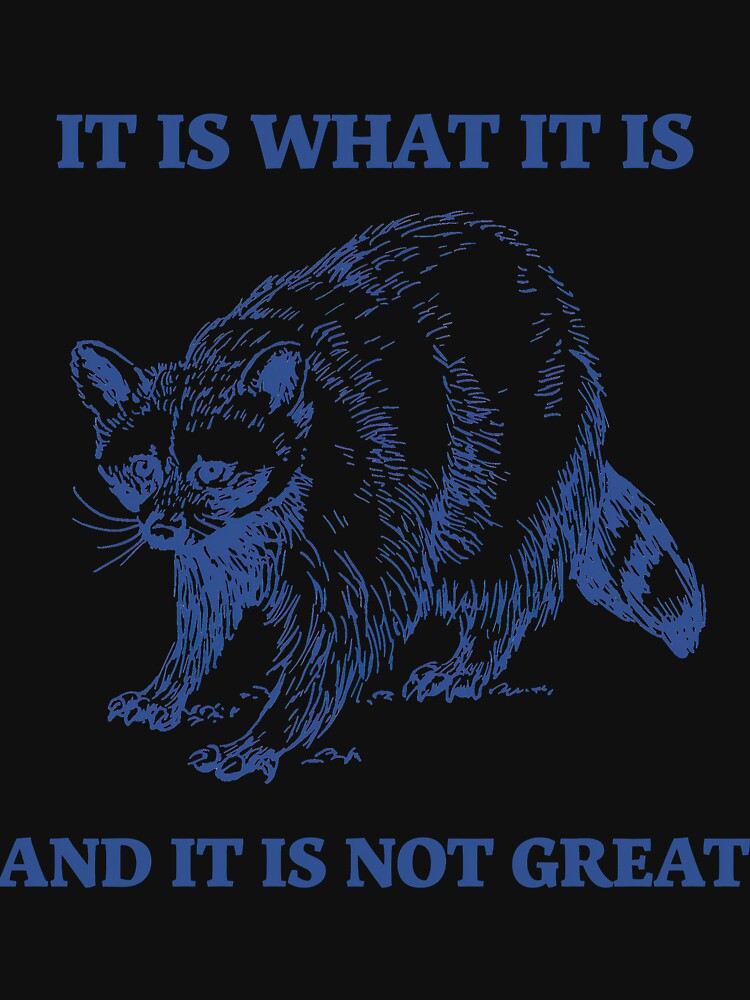 Raccoon It Is What It Is And It Is Not Great by MattCollinsShop
