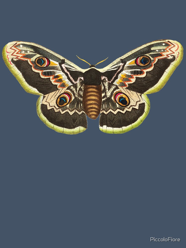 Vintage Great Peacock Moth in Sage Green | P74 by Piccolo Fiore Prints