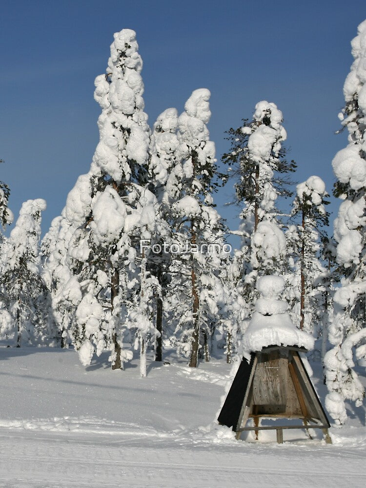 Winter by FotoJarmo