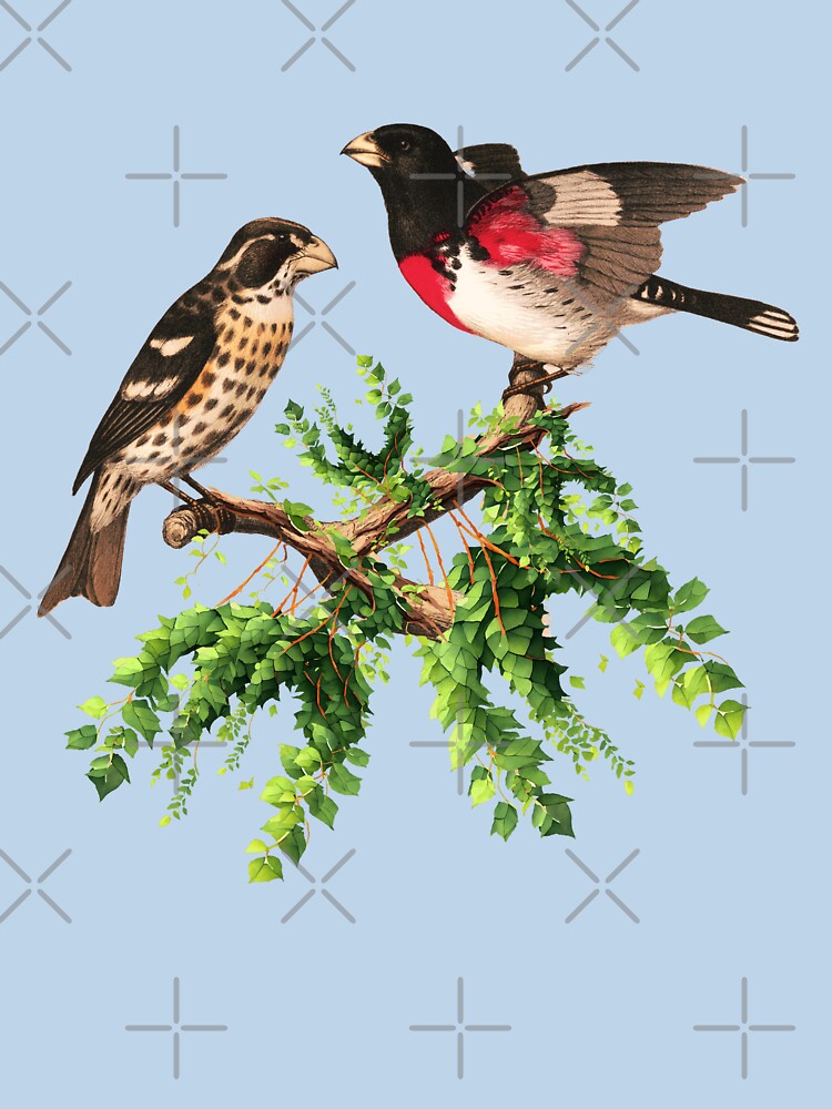 Rose Breasted Grosbeak Bird by Bliss Find And Design Unisex