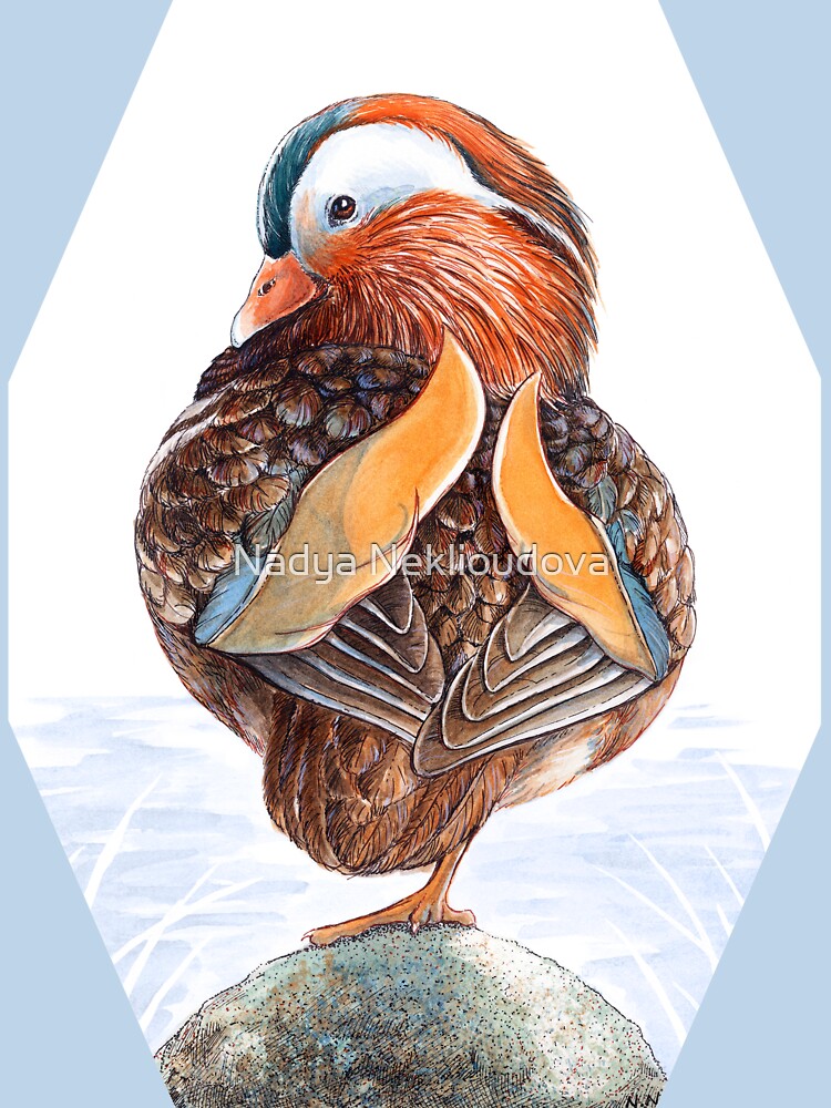 Mandarin Duck Art by Nadya Neklioudova by Nadya Neklioudova