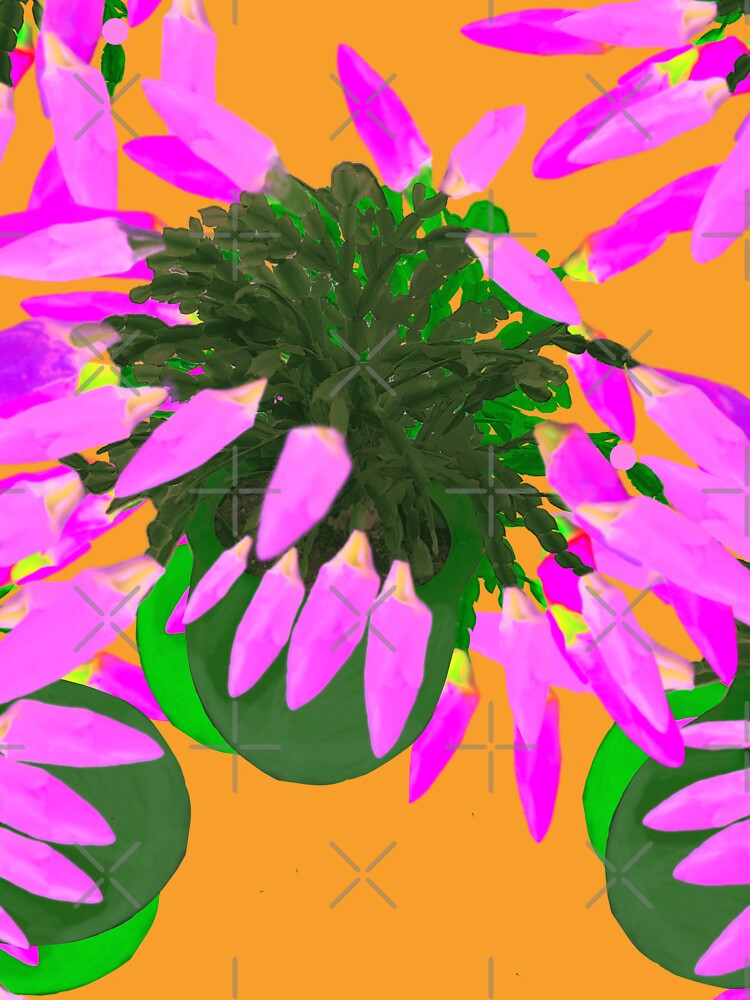 Pink Christmas Cactus / schlumbergera bridgesii by Victoria Rose
