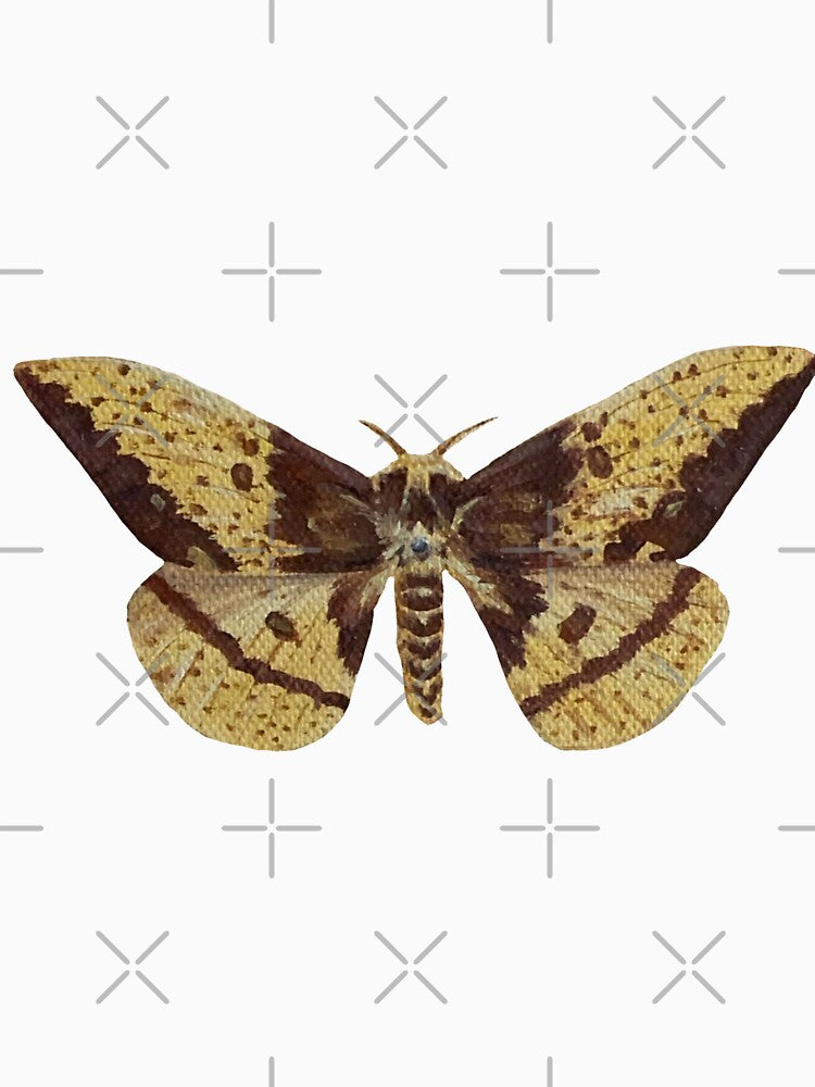 imperial silk moth by kaitlynyaru.art