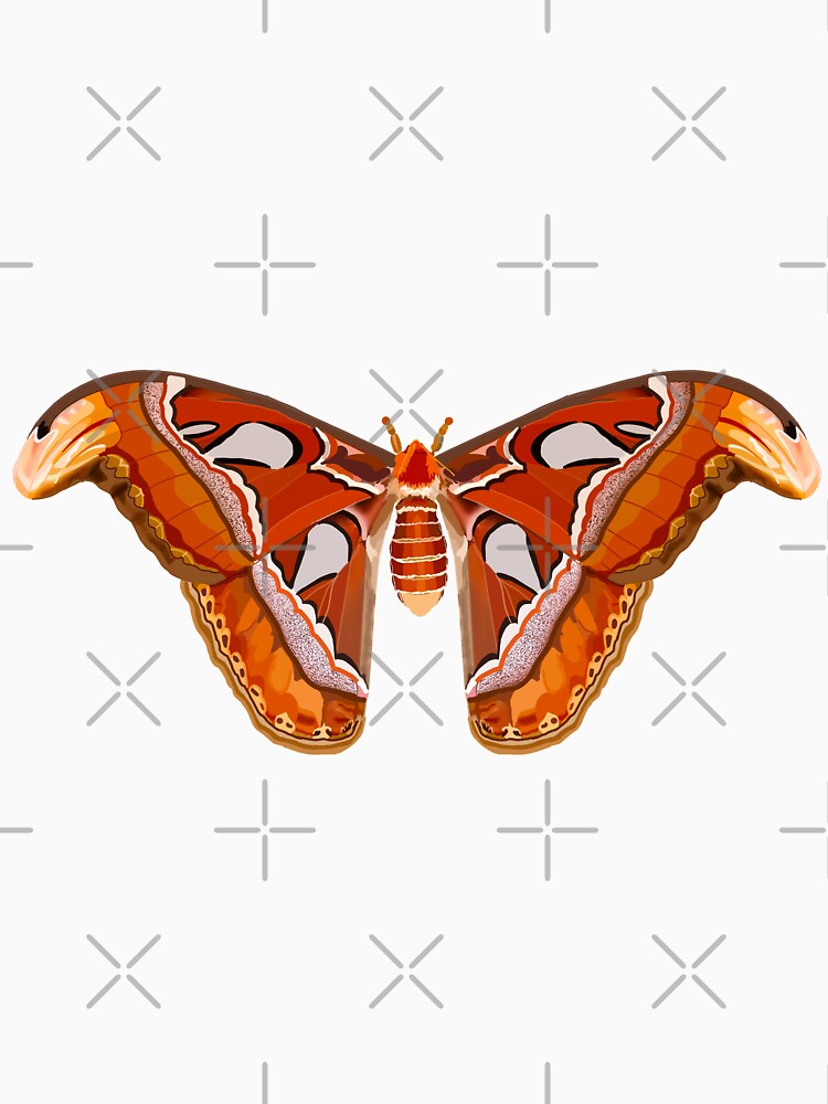 Atlas Moth Art Sticker by Katlligraphy