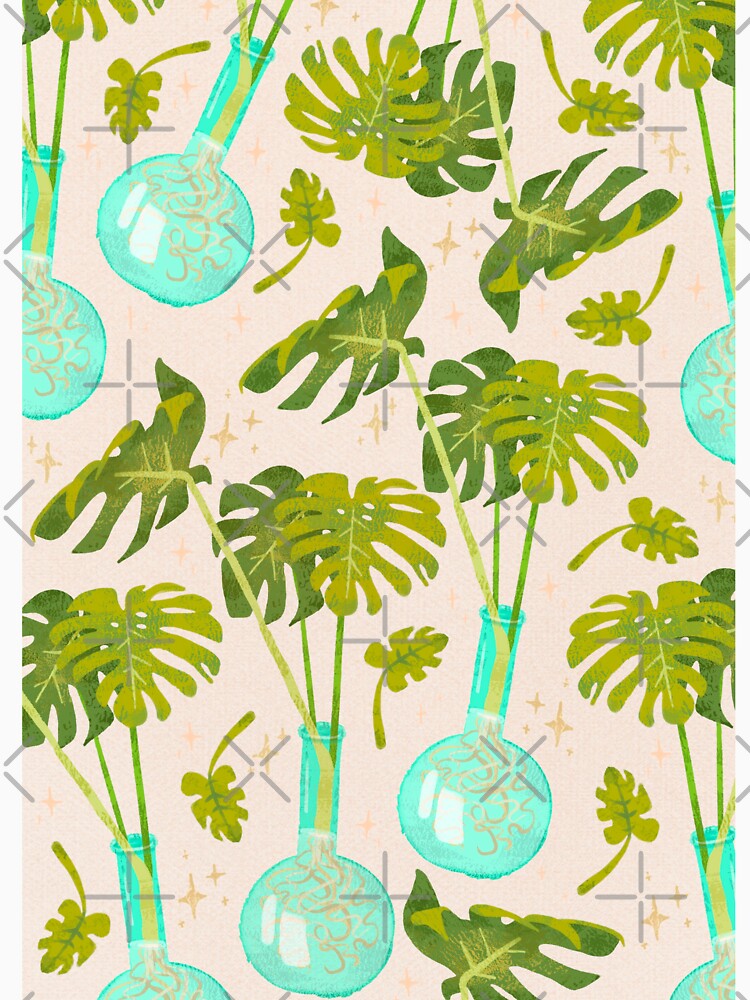 Propagating Monstera by volttrash