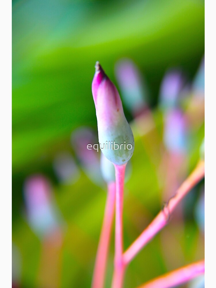 Path of Healing by equilibrio