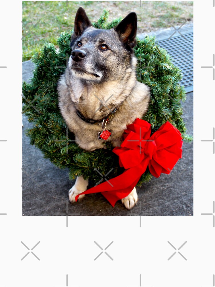 Norwegian Elkhound with Christmas Wreath by busybob
