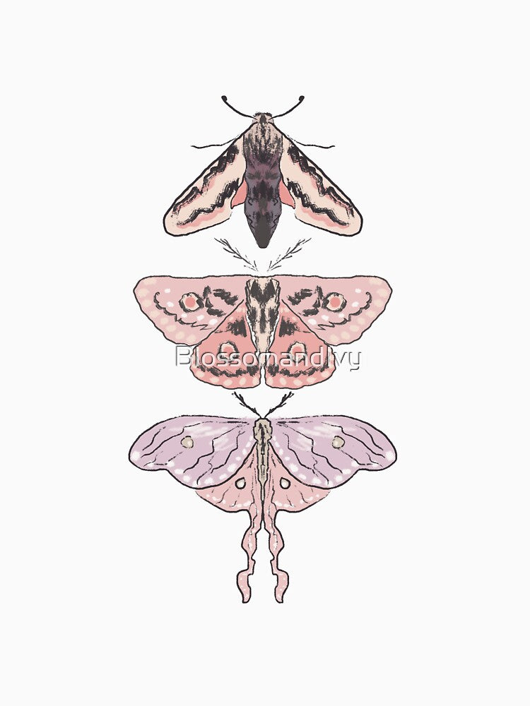 Illustrated moths by BlossomandIvy