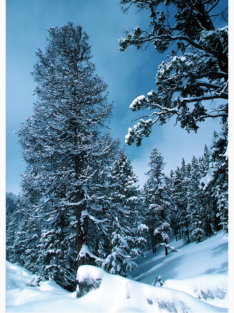 Winter Wonderland by BravuraMedia