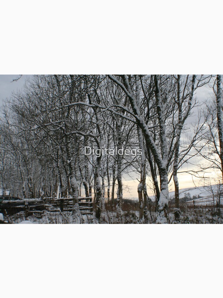 Wishing willow Wonderland by Digitaldegs
