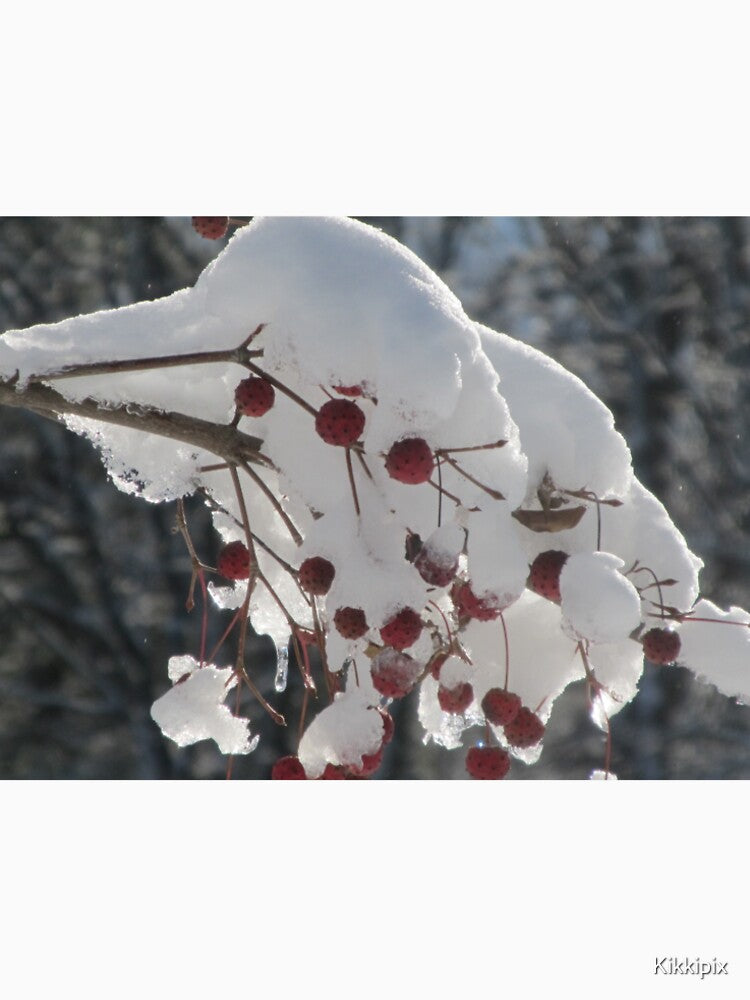 Snow Berries by Kikkipix