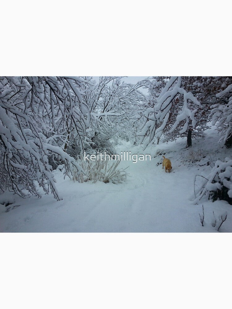 Winter wonderland by keithmilligan