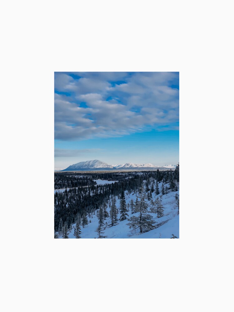 Winter Wonderland by pattymacphoto