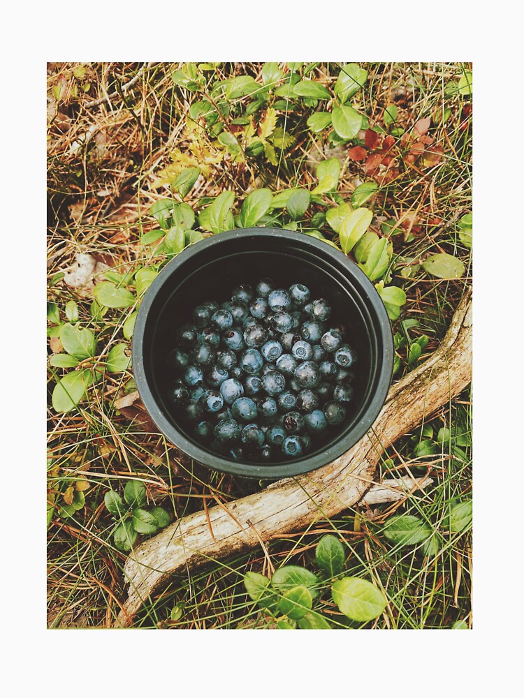 Wild Blueberry Picking by Emilia Oxelheim