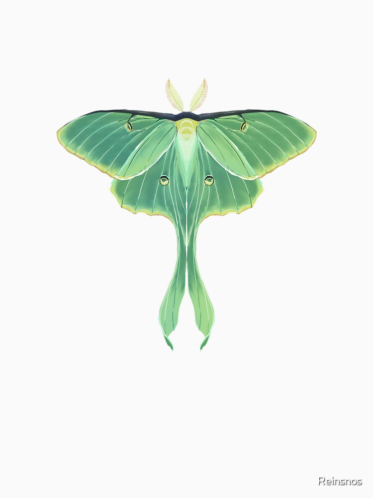 Luna Moth by Reinsnos