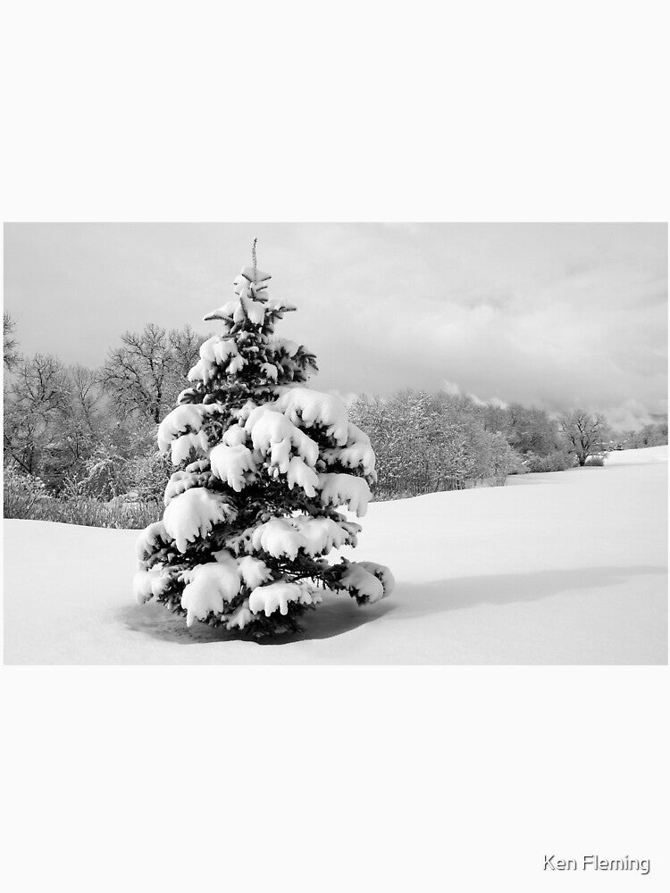 Winter Wonderland by Ken Fleming
