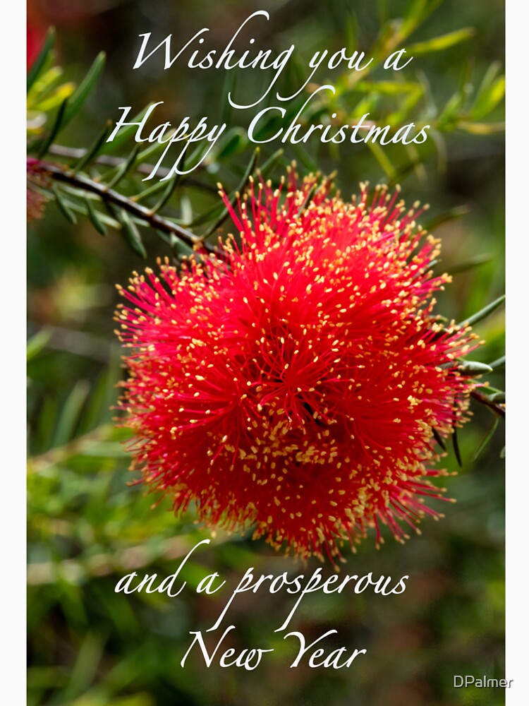 Australia Christmas Card by DPalmer