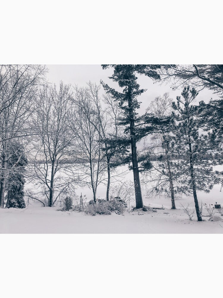 Winter Wonderland by simply-monika