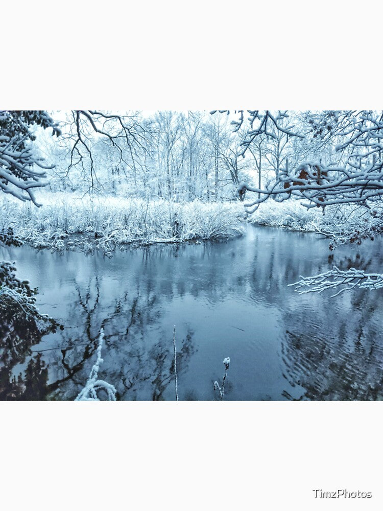 Frozen Marsh by TimzPhotos